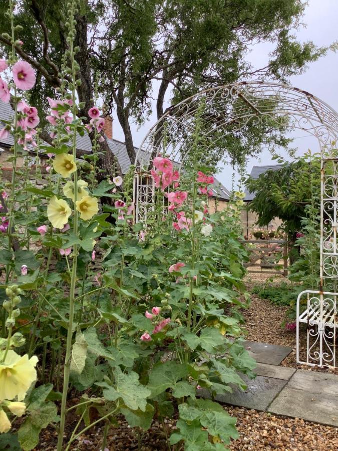 Hollyhock Cottage, Clematis Cottages, Stamford Exteriör bild