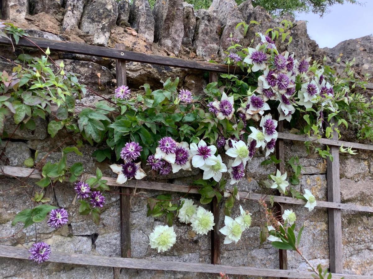 Hollyhock Cottage, Clematis Cottages, Stamford Exteriör bild