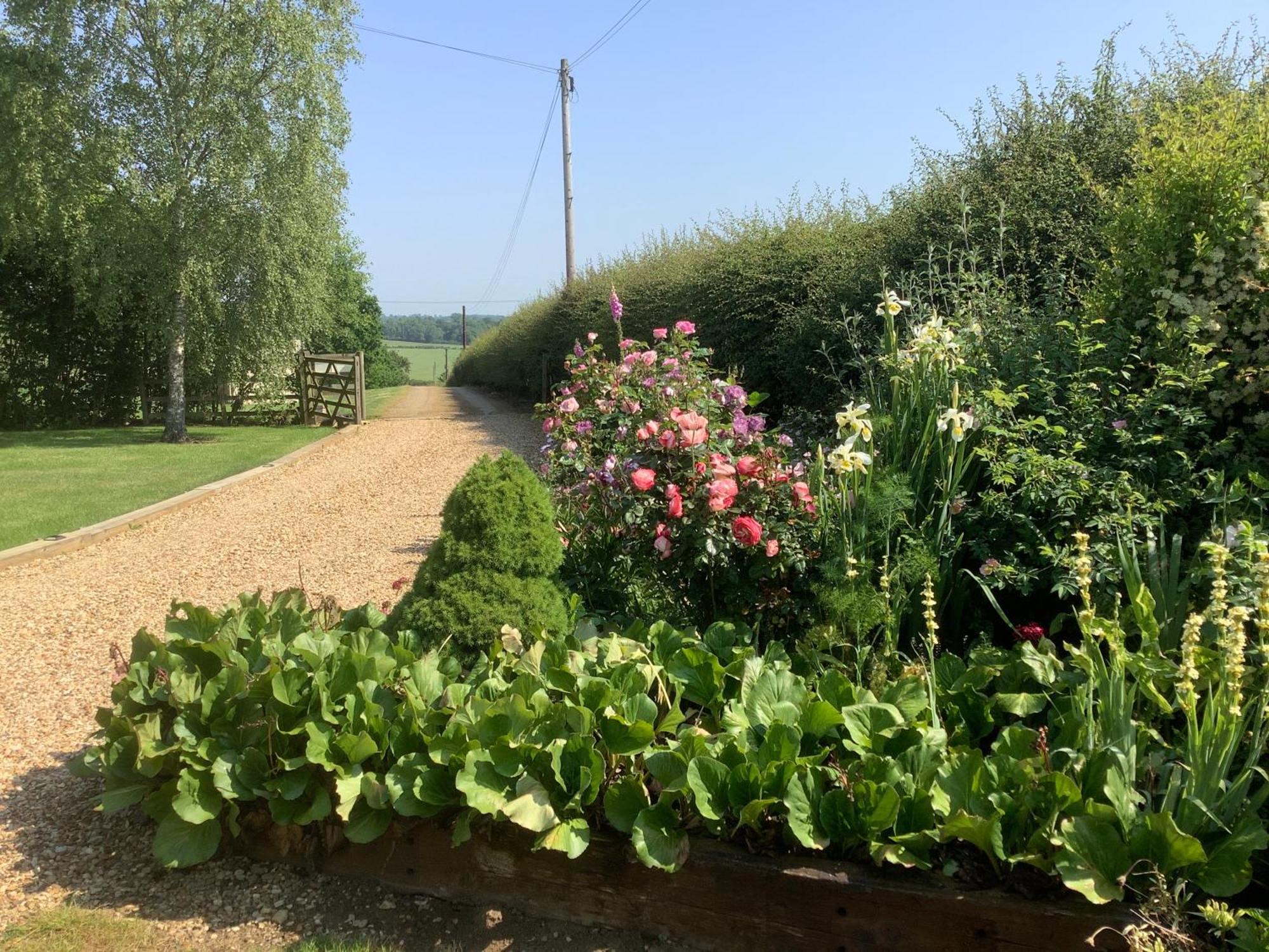 Hollyhock Cottage, Clematis Cottages, Stamford Exteriör bild